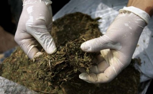 Man arrested, over 2 kg marijuana siezed