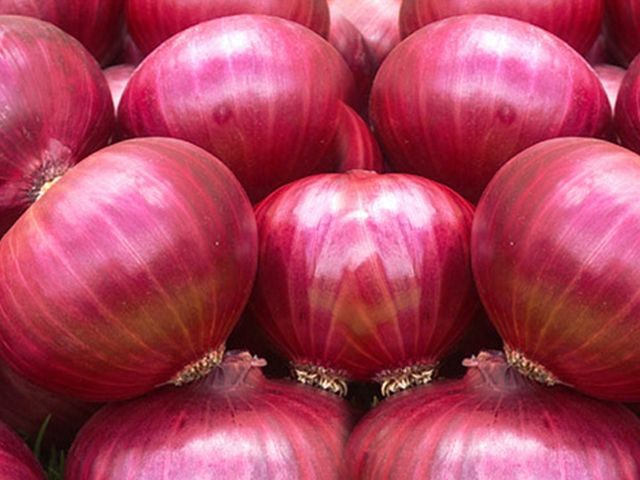 Red onions may help combat cancer: study