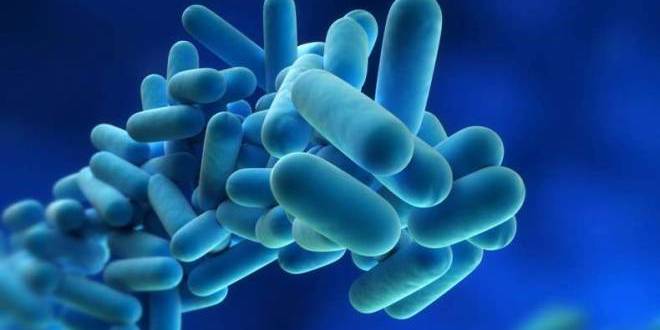 Good bacteria may help prevent pneumonia