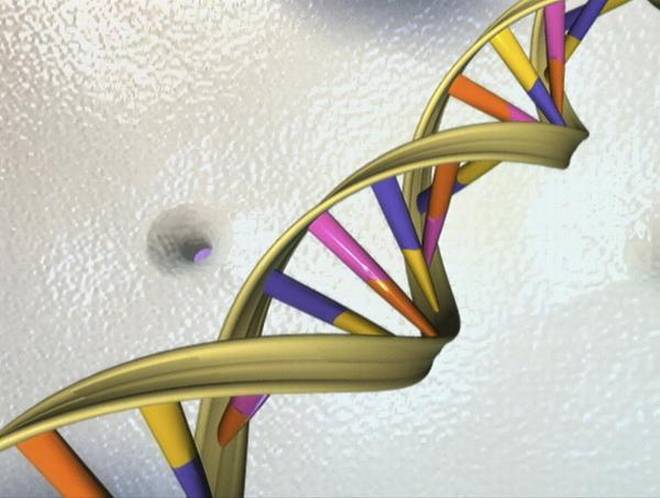 New system can identify people from their DNA in minutes: study