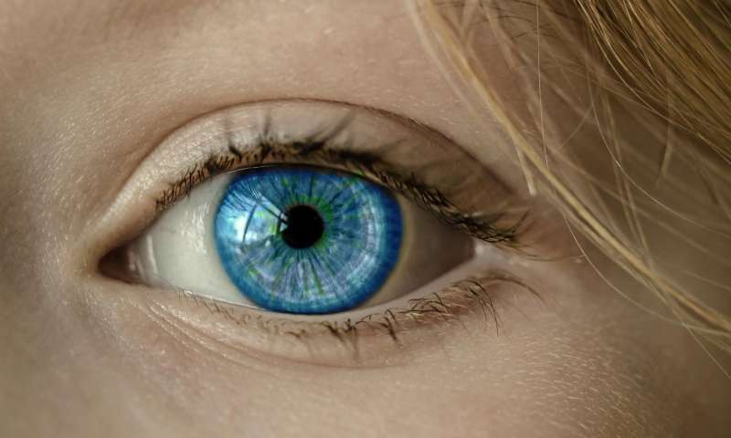 Can eye test help diagnose autism?