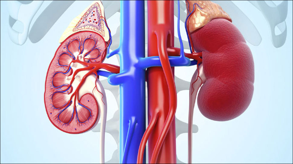Kidney disease may up diabetes risk: study