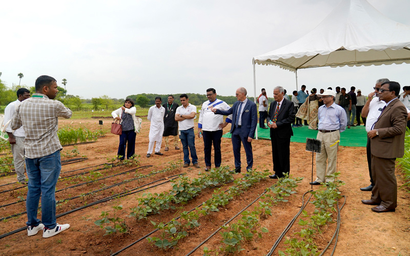 The World Vegetable Center celebrates its golden jubilee 
in Hyderabad 