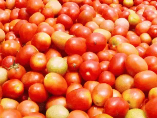 allindiaretailpriceoftomatoregisters29%declineoverlastmonth