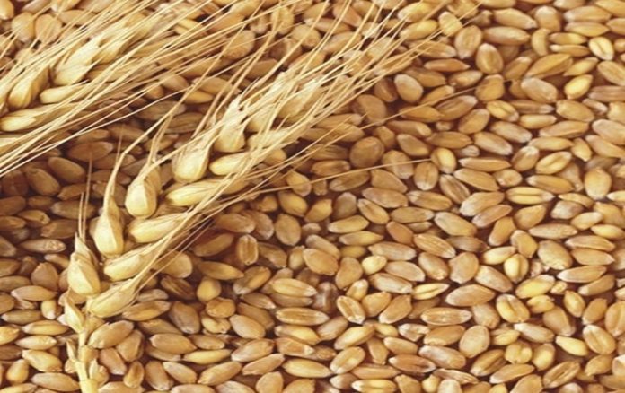 Centre sells 18.09 Lakh MT of wheat under Open Market Sale Scheme (Domestic)