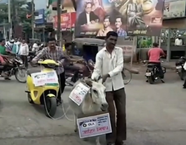 bewareofthisfraudulentcompany:mantiesdonkeytohisolascooterparadesitaroundtowninmaharashtra: