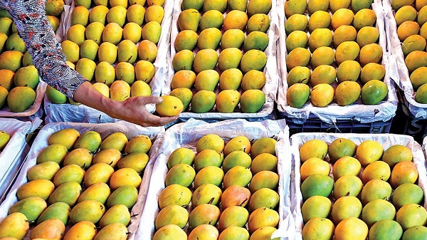 mangoesmakewayforotherfruitsatkothapetmarkethyderabad: