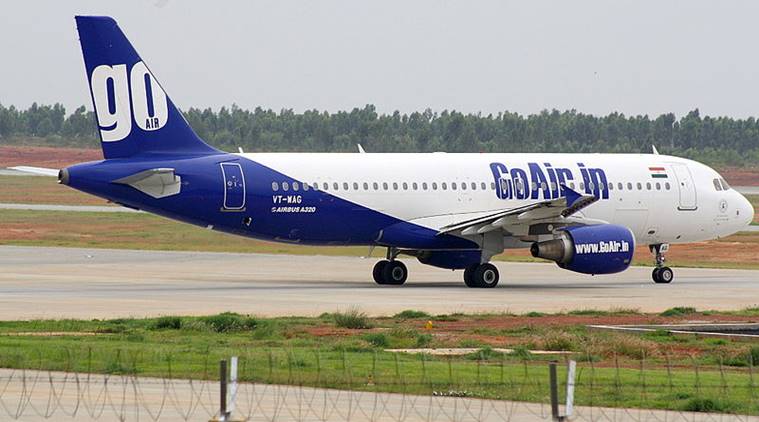 goairflightsuffersbirdhitreturnstodelhiairport