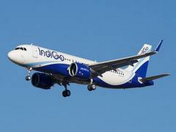 civilaviationministrydirectsdgcatoconductprobeindelhibengaluruindigoflighttakeoffincident