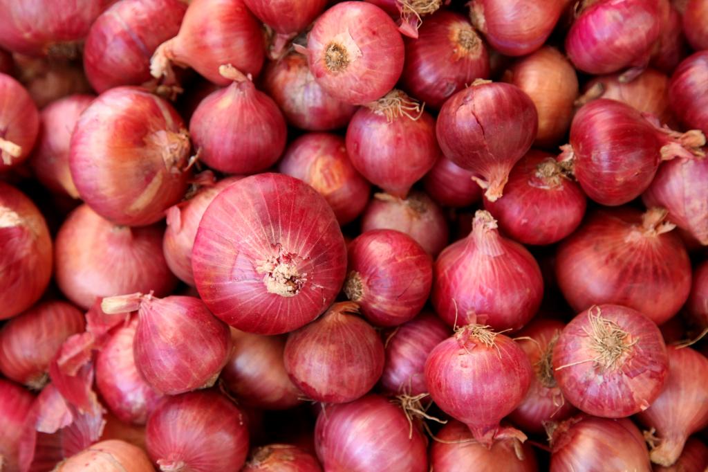 Centre Extends Export Ban On Onion Till Further Orders