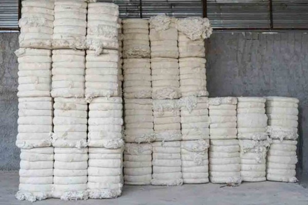 govtprocures100lakhbalesofcottonundermsp
