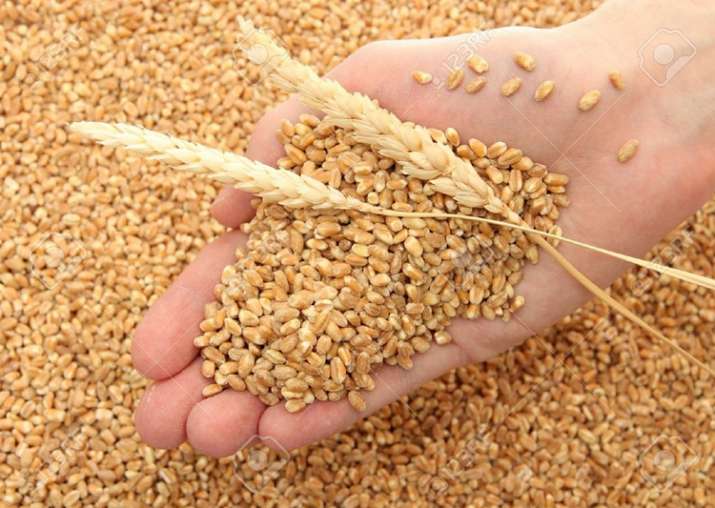 madhyapradeshtopswheatprocurementincountry