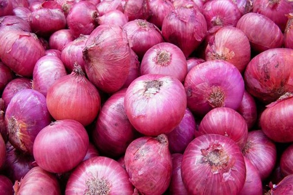 Centre Lifts Ban On Onion Exports