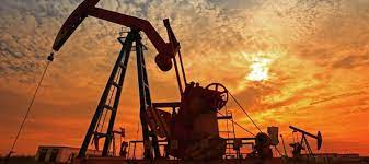 Global oil prices record sharpest single-day decline in 5 years