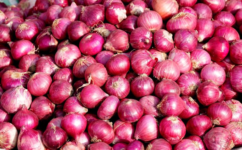 Onion traders from Nashik threaten to stop auctions over export duty from 20th September