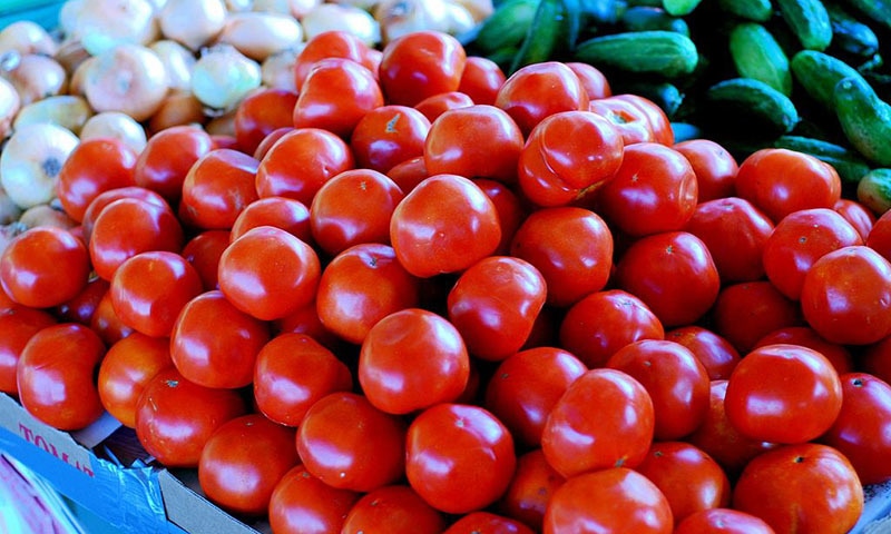 saleoftomatoesatdiscountedpricetobegininseverallocationsofdelhigurugramfaridabadsaysconsumeraffairssecretary