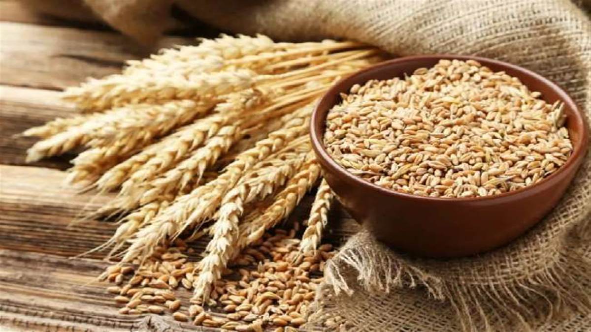 india-exported-wheat-worth-473-m-in-april