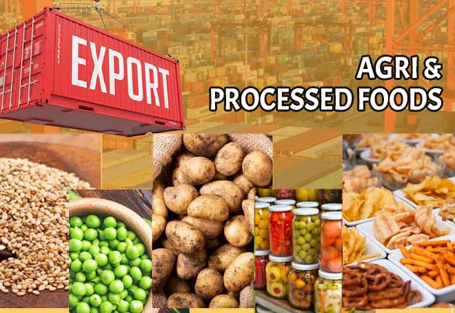 indiasexportsofagriculturalprocessedfoodproductsriseby31%