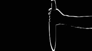 Teen refuses to buy biryani, stabbed 55 times