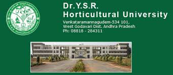 drysrhorticulturaluniversityinvitesapplicationsforbsc(hons)program2015