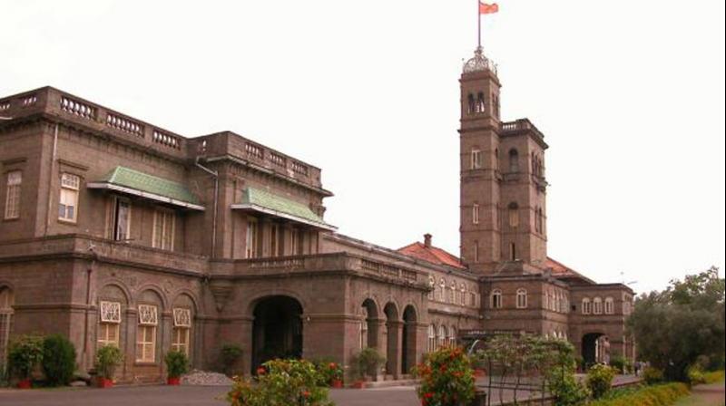 afteroutragepuneuniversityscrapsvegetariansonlygoldmedal
