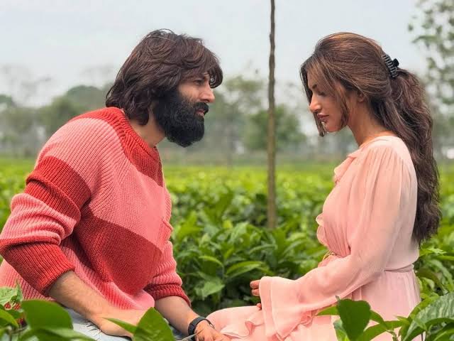 Kartik Aaryan, Sreeleela
