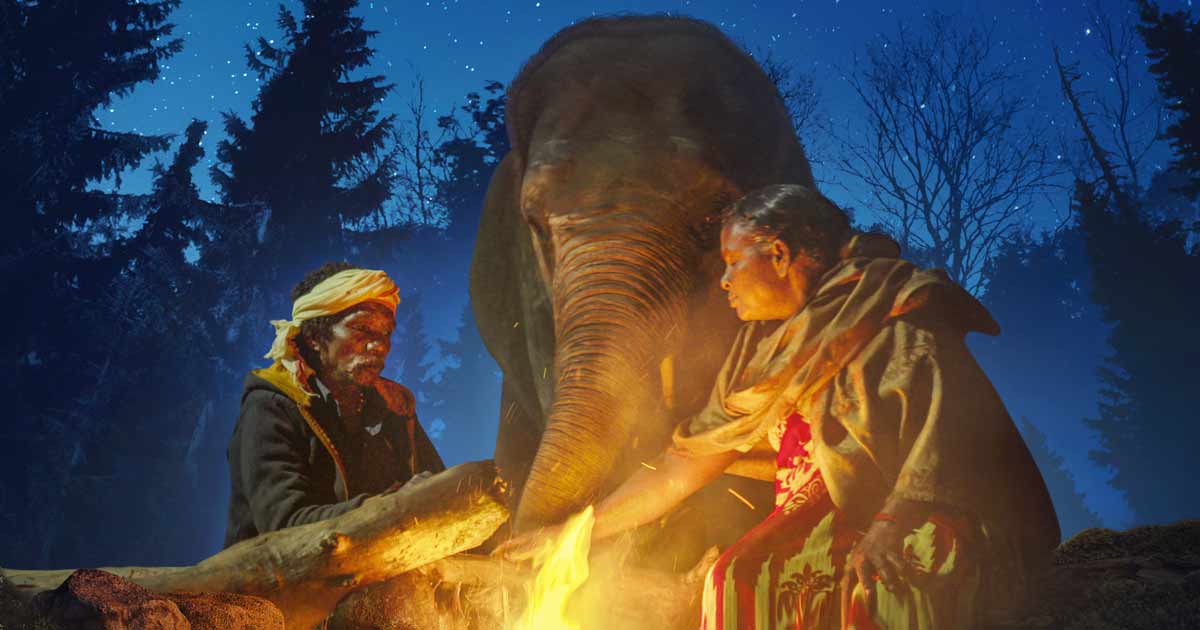 oscars2023:india’s‘theelephantwhisperers’bringshomebestdocumentaryshortfilm