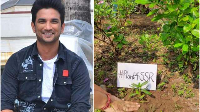 sushantsinghrajputfansplantover1lakhtreesinplants4ssrcampaign