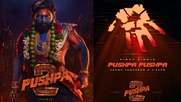 allu-arjuns-pushpa-the-rule-new-song-to-release-on-may-1st-2024