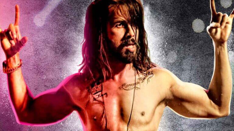 shahidkapoorsudtapunjab2inworks:report