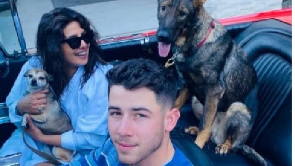 Priyanka Chopra, Nick Jonas celebrate pets birthday