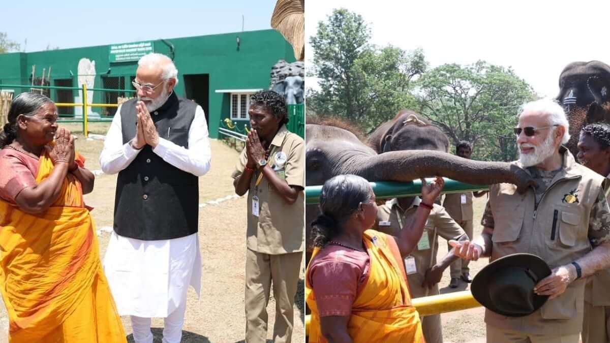 pmmodimeetstheelephantwhispererspairbommanbellieintamilnadu