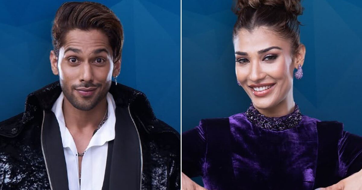 BB 19: Baseer Ali and Nehal Chudasama exit show in double eviction