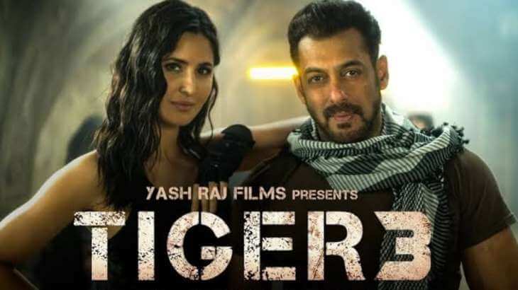 Salman Khan announces Tiger 3