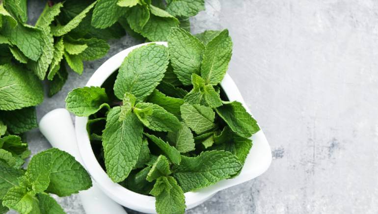 Know these 5 benefits of this Superfood Peppermint