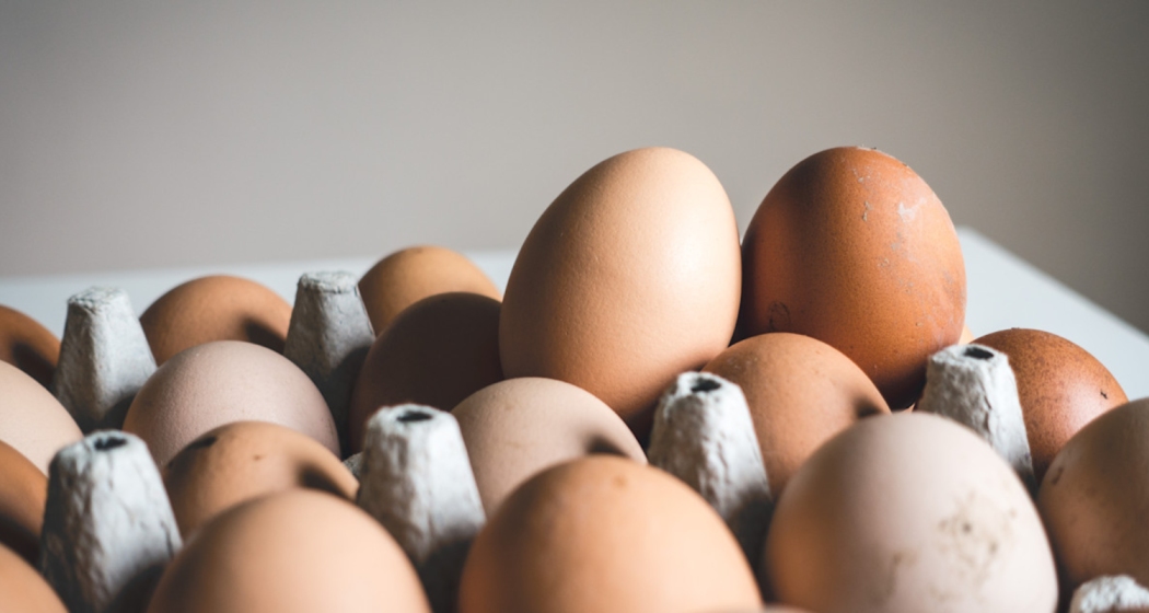 Eating eggs regularly could lower Alzheimer