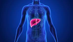knowthese3ayurvedicherbstokeepyourliverhealthy