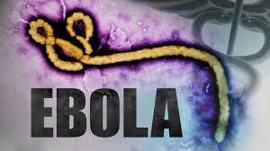 eboladeathtollcrosses5000mark:who