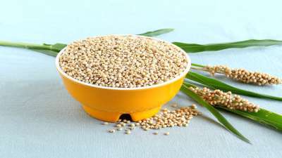 Know THESE 5 benefits of this Cereal Grain