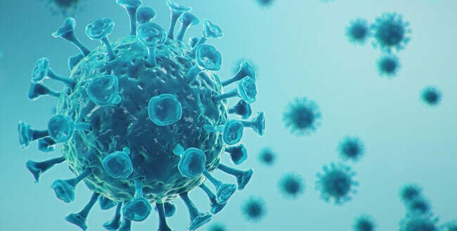 hmpvoutbreak:amidglobalconcernchineseofficialsayscasesinnorthernchinadeclining