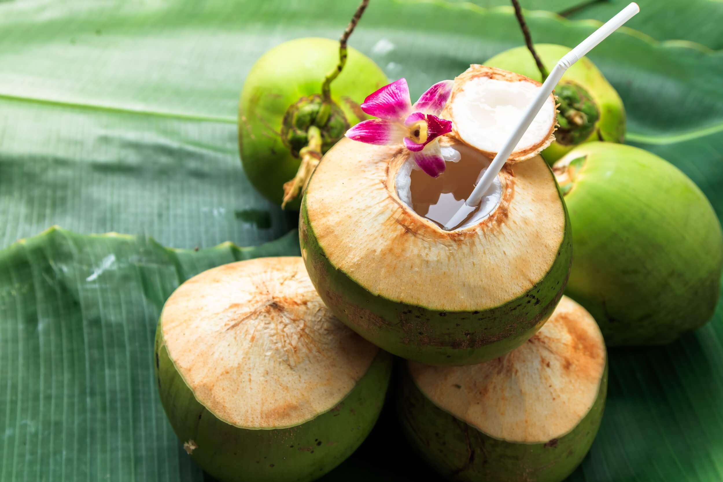 Know the incredible health benefits of coconut water and the best time to drink