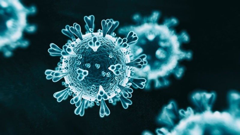 Study finds Covid protein may trigger immune system to attack healthy cells; New variant spreads globally