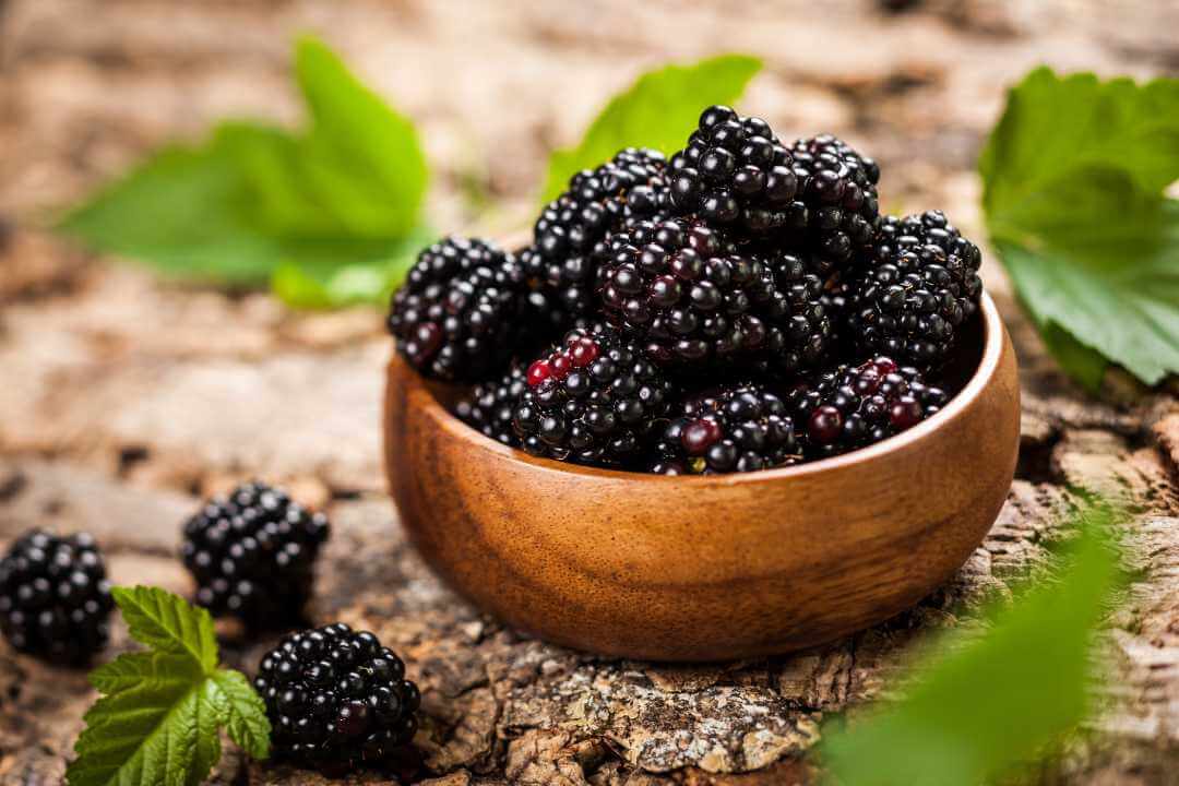 know5benefitsofsuperfoodblackberries