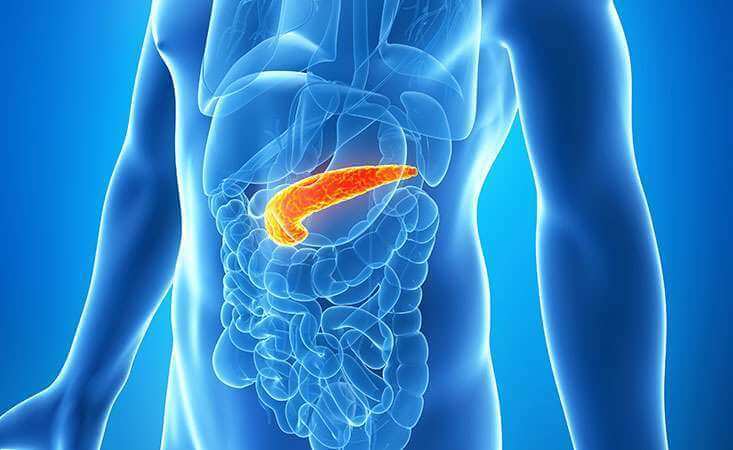 hereare5signsofpancreasdamageyoushouldnotignore