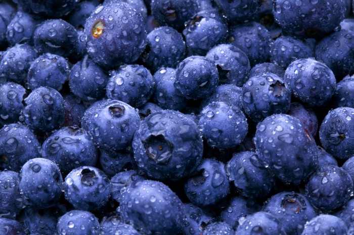 blueberriesmayhelpbeatalzheimers:study
