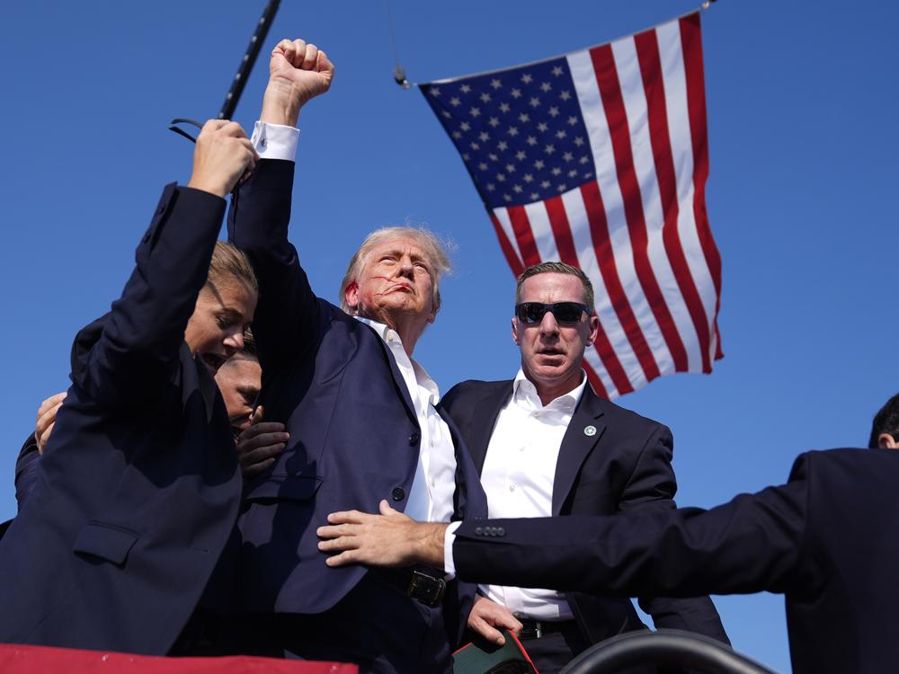 donaldtrumpwantsanamericaninchargeofwhodemandsincludebigreforms