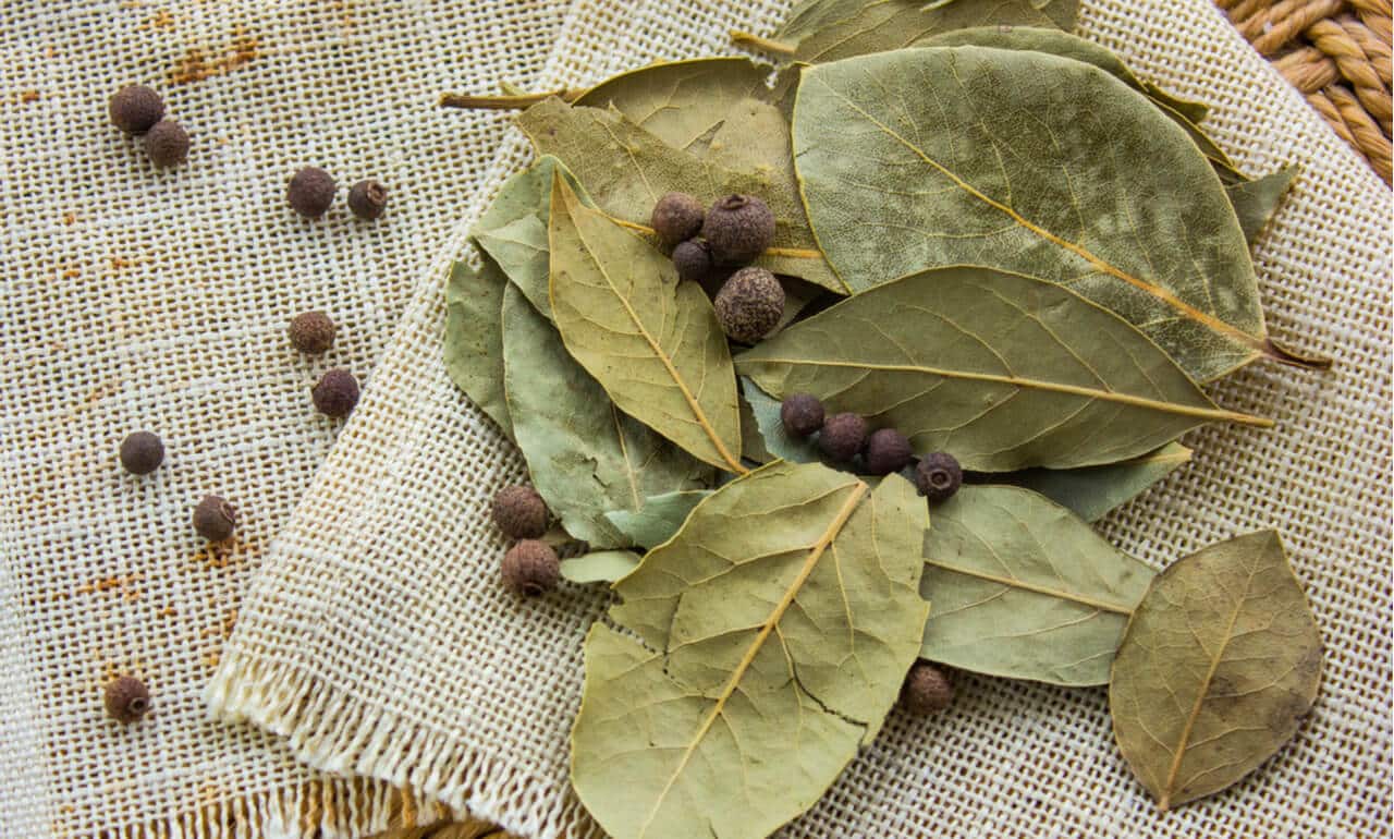 knowhowbayleafcanbebeneficialtocontroldiabetes