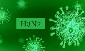 Know more about the H3N2 variant