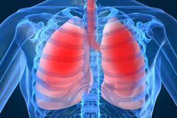 highlevelsofinsulinaffectlungs:study