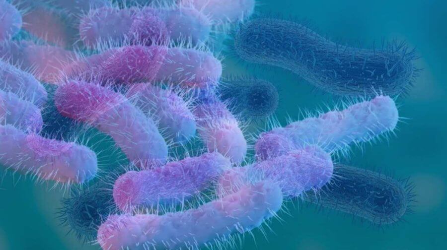 Kerala reports 2 more Shigella deaths, toll rises to 5; cases climb to 147